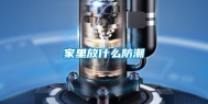 家里放什么防潮
