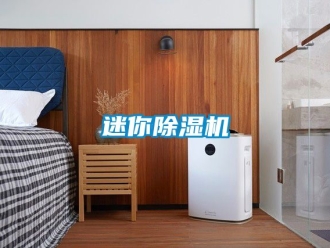行业新闻迷你除湿机