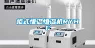 柜式恒温恒湿机RYHF