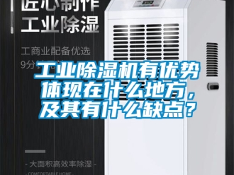 常见问题工业除湿机有优势体现在什么地方，及其有什么缺点？