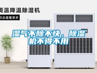 知识百科湿气不除不快，除湿机不得不用