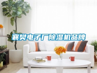 企业新闻襄樊电子厂除湿机品牌
