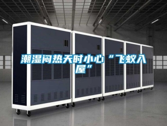 企业新闻潮湿闷热天时小心“飞蚁入屋”