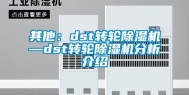 其他：dst转轮除湿机—dst转轮除湿机分析介绍