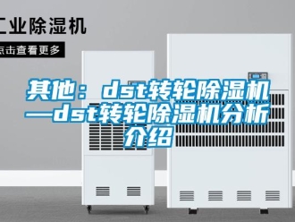 常见问题其他：dst转轮除湿机—dst转轮除湿机分析介绍