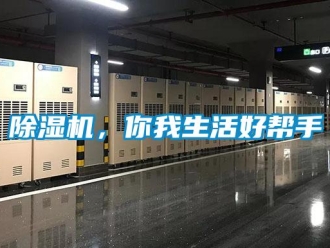 常见问题除湿机，你我生活好帮手