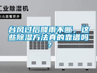 企业新闻台风过后降雨不断，这些除湿方法真的靠谱吗？
