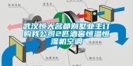 武汉恒大名都别墅业主订购我公司2匹酒窖恒温恒湿机空调