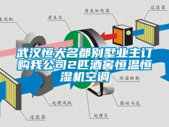 知识百科武汉恒大名都别墅业主订购我公司2匹酒窖恒温恒湿机空调