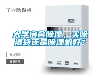 行业新闻大学宿舍除湿，买除湿袋还是除湿机好？