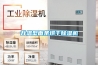 升温型面条烘干除湿机