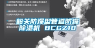 韶关防爆型管道防爆除湿机 BCGZ10
