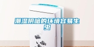 潮湿阴暗的环境容易生虫
