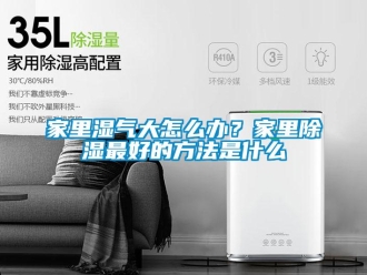 企业新闻家里湿气大怎么办？家里除湿最好的方法是什么