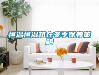 知识百科恒温恒湿箱在冬季保养策略