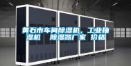 黄石市车间除湿机，工业抽湿机  除湿器厂家 价格
