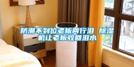 防潮不到位老板两行泪 除湿机让老板收回泪水