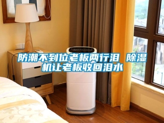 企业新闻防潮不到位老板两行泪 除湿机让老板收回泪水