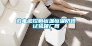 微电脑控制恒温恒湿防爆试验箱厂商