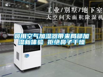 常见问题鼻用空气加湿器带来局部加湿新体验 拒绝鼻子干燥