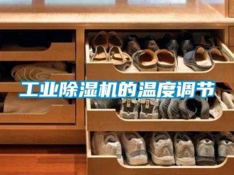 企业新闻工业除湿机的温度调节