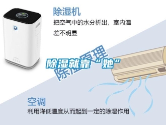 企业新闻除湿就靠“她”