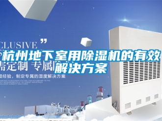 行业新闻杭州地下室用除湿机的有效解决方案