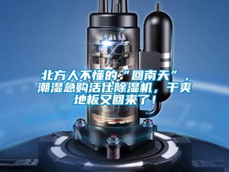 常见问题北方人不懂的“回南天”，潮湿急购活仕除湿机，干爽地板又回来了！