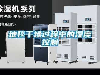 企业新闻地毯干燥过程中的湿度控制