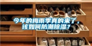 今年的梅雨季真的来了，该如何防潮除湿？
