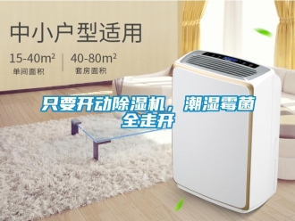 行业新闻只要开动除湿机，潮湿霉菌全走开
