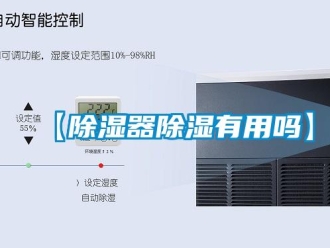 企业新闻【除湿器除湿有用吗】