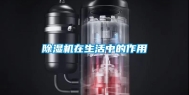 除湿机在生活中的作用