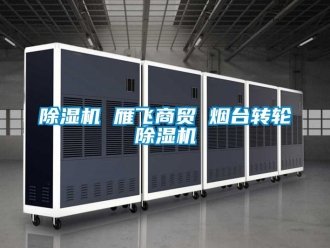 常见问题除湿机 雁飞商贸 烟台转轮除湿机