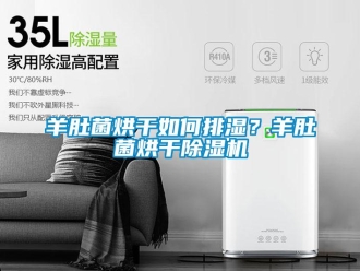 常见问题羊肚菌烘干如何排湿？羊肚菌烘干除湿机
