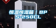 恒温恒湿箱｜BPS-250CL