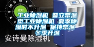 工业除湿机 普立常温型工业除湿机 夏季除湿时不升温 保持常温 冬季升温
