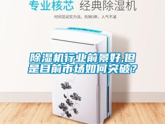常见问题除湿机行业前景好,但是目前市场如何突破？