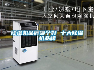 企业新闻除湿机品牌哪个好 十大除湿机品牌