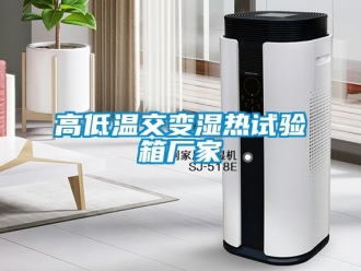 常见问题高低温交变湿热试验箱厂家