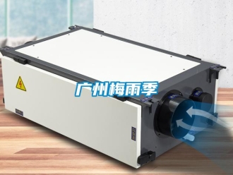 行业新闻广州梅雨季