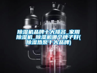 企业新闻除湿机品牌十大排名_家用除湿机_除湿机哪个牌子好(除湿热泵十大品牌)