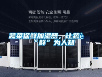 知识百科蔬菜保鲜加湿器，让蔬菜“鲜”为人知