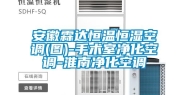 安徽霖达恒温恒湿空调(图)-手术室净化空调-淮南净化空调