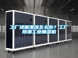 企业新闻工厂地面潮湿怎么办？工厂除潮工业抽湿机