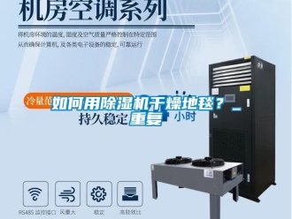 行业新闻如何用除湿机干燥地毯？_重复