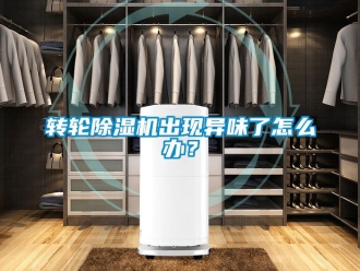 常见问题转轮除湿机出现异味了怎么办？