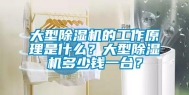 大型除湿机的工作原理是什么？大型除湿机多少钱一台？