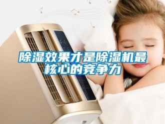 企业新闻除湿效果才是除湿机最核心的竞争力