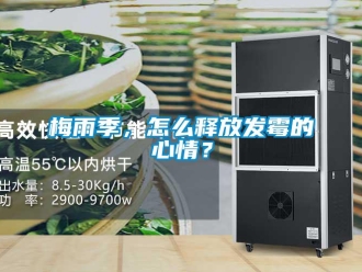 常见问题梅雨季，怎么释放发霉的心情？